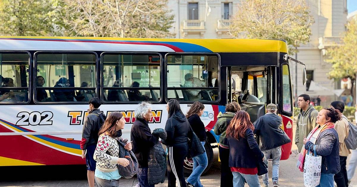 Micros más caros en La Plata desde hoy y se prevé la normalización de ...