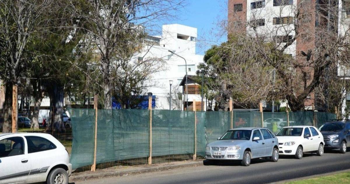 Presentaron un amparo judicial para frenar las obras en el Parque Saavedra | El Dia