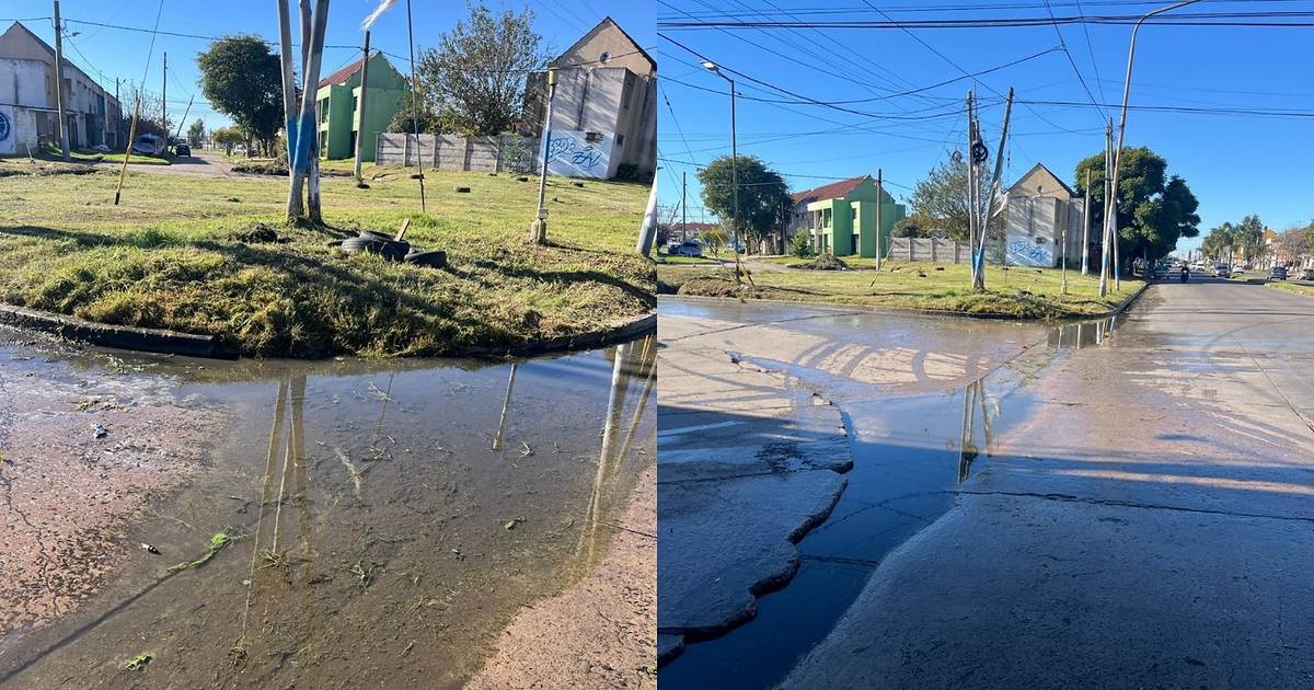 Reclamos por desborde cloacal en Tolosa | El Dia