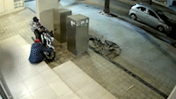 VIDEO.- Así dos ladrones se robaron una moto estacionada en plena madrugada en La Plata | El Dia