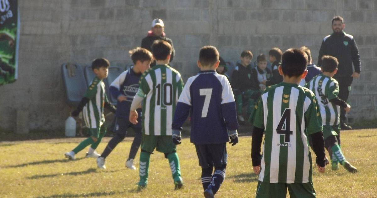 Resulta inadmisible: se suspendió la fecha del fútbol infantil en La Plata por el incidente ocurrido en Berisso | El Dia