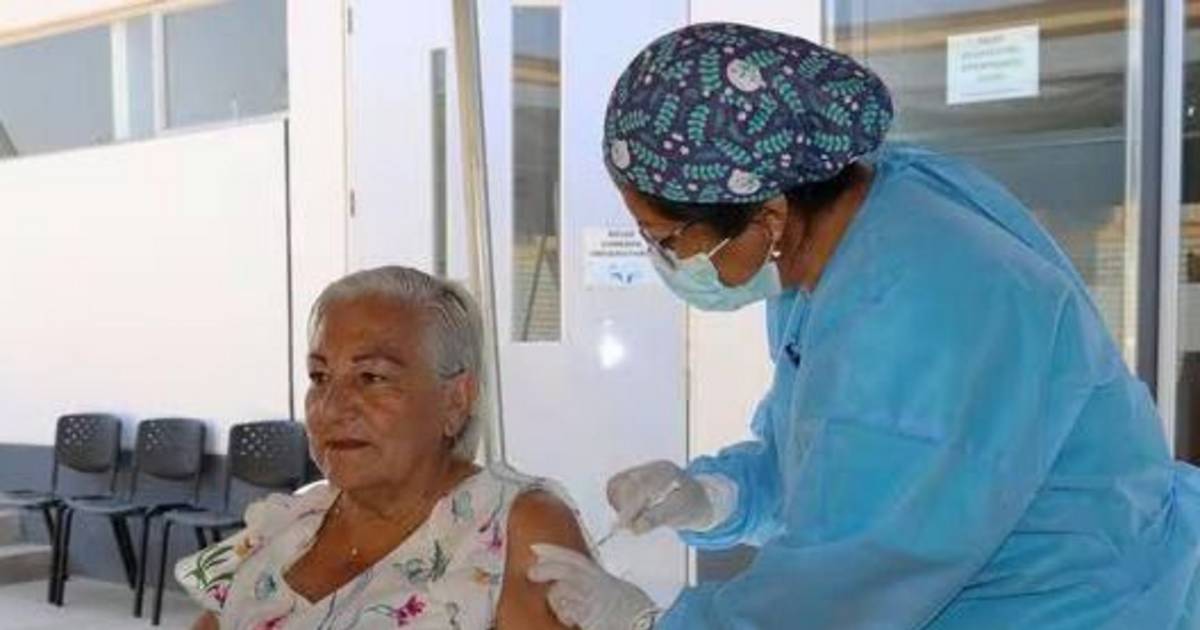 Vacunas antigripales: en La Plata, solo hay dosis para 8 de cada 10 adultos | El Dia
