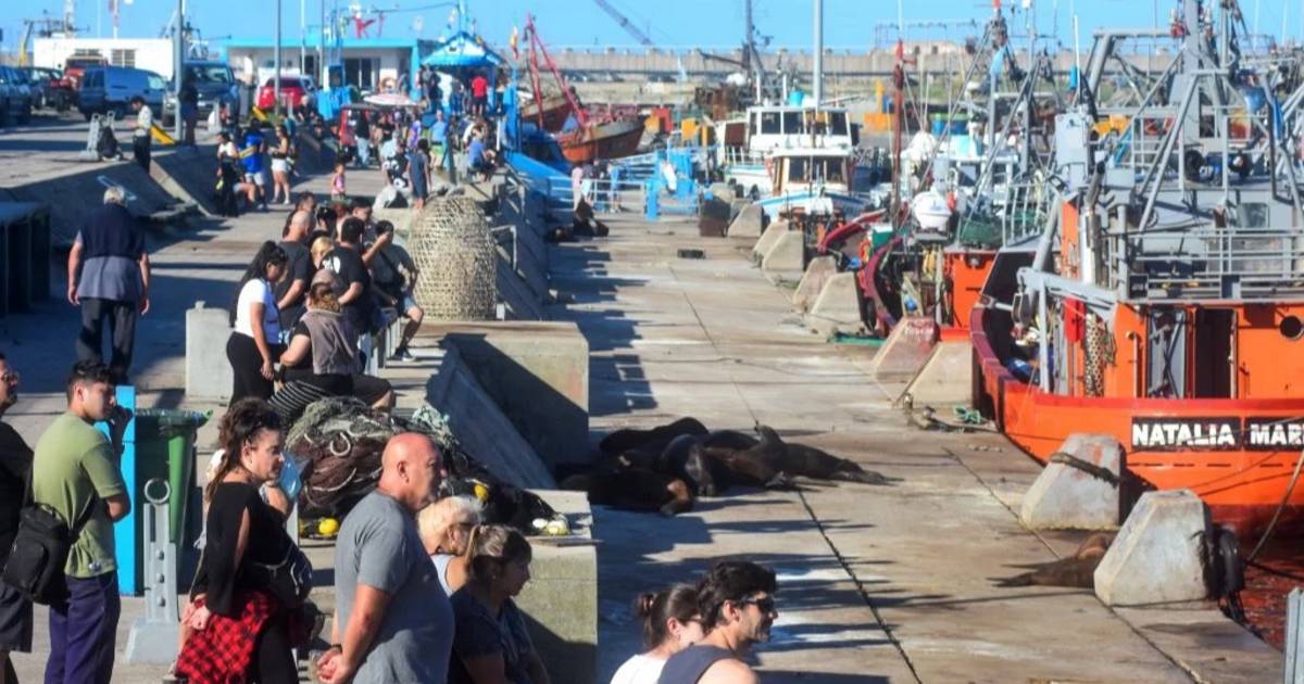 Mar del Plata inicia el fin de semana largo con reservas moderadas | El Dia