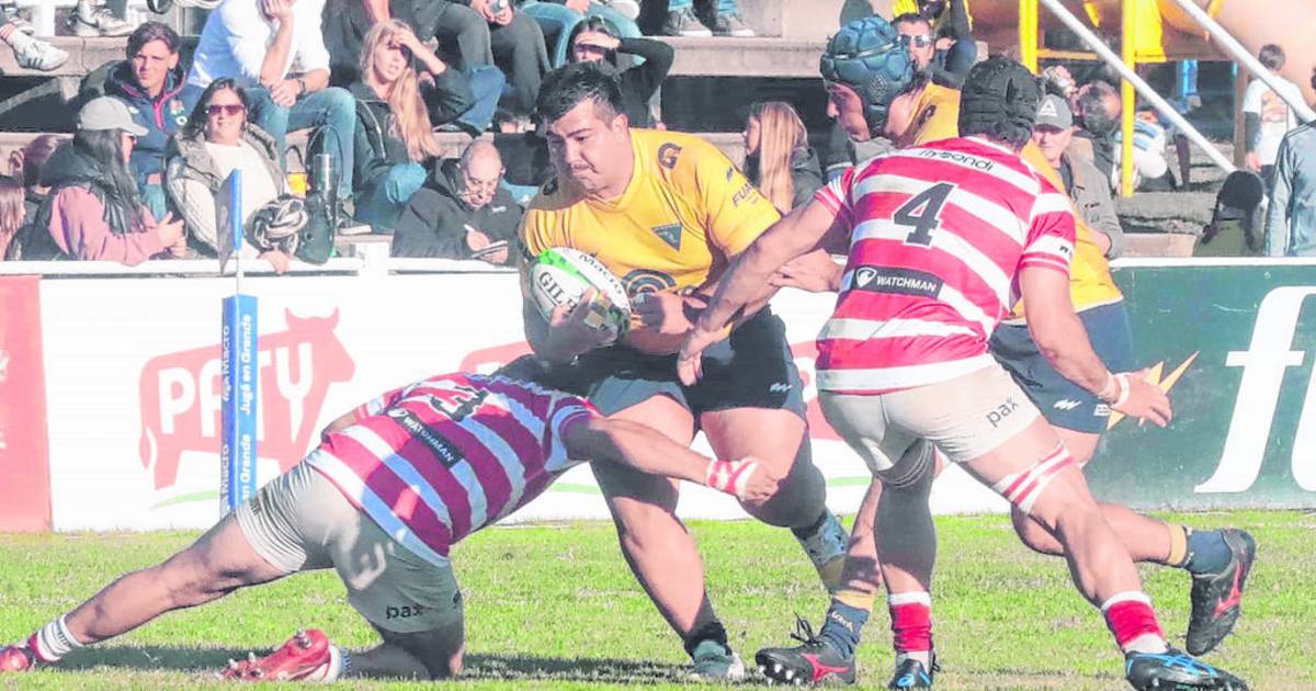 La Plata no levanta en el Top 14 | El Dia