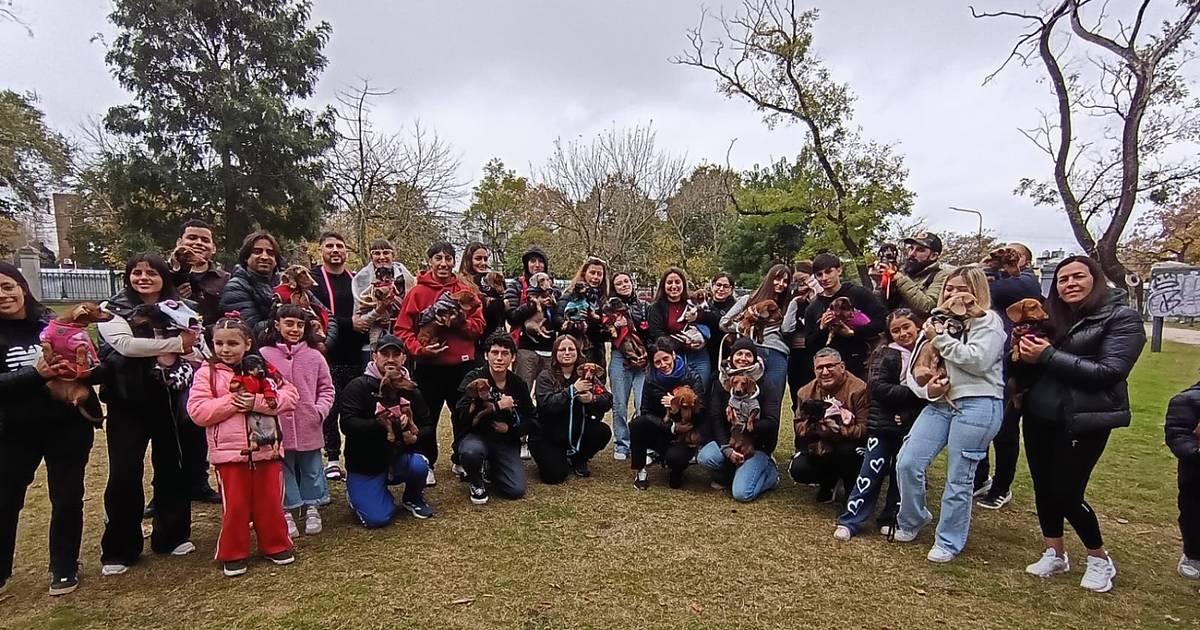En el Parque Saavedra, más de cincuenta perros celebraron el "Encuentro Salchi Platense" | El Dia