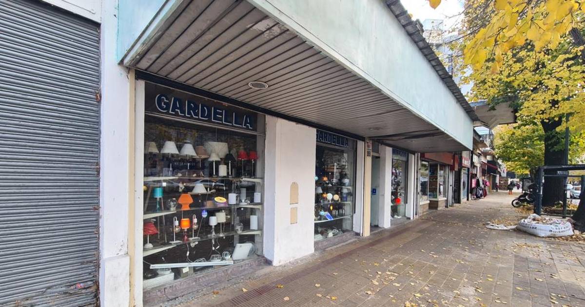 En diagonal 80, el reflejo de la crisis: ventas y persianas bajas | El Dia
