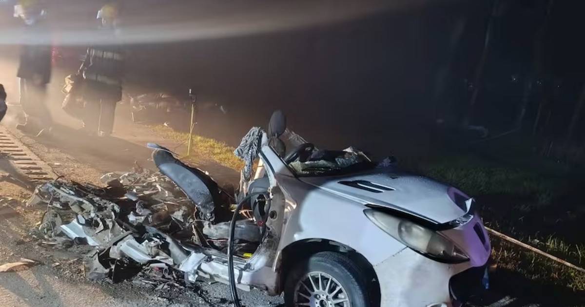 Tragedia en Ruta 6: la reacción del conductor tras el impacto de los vehículos | El Dia