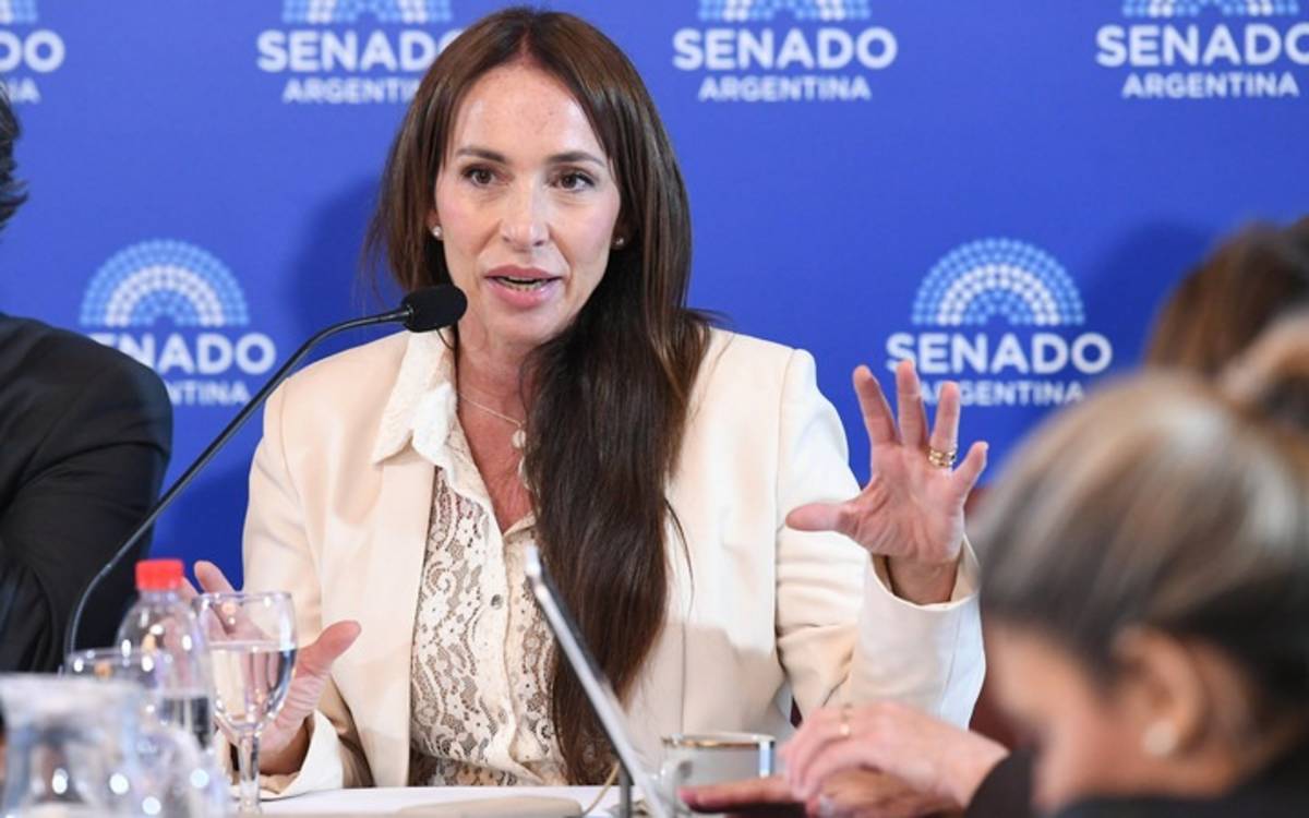 Una candidata a jueza en La Plata sería vetada por ser familiar de un  periodista | El Dia