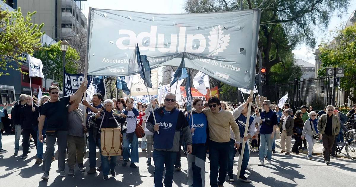 Semana de paro en la UNLP: la agenda de actividades para visibilizar la protesta docente | El Dia