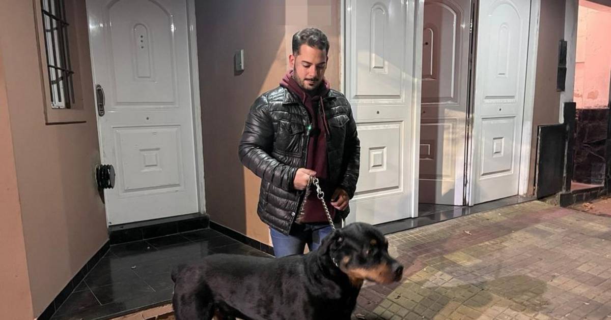El drama detrás del robo en el que delincuentes drogaron a un perro | El Dia
