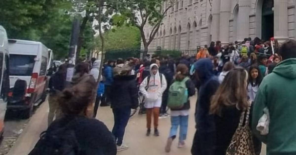 Con ratas no se puede estudiar: convocan a una marcha en La Plata por las condiciones de las escuelas | El Dia