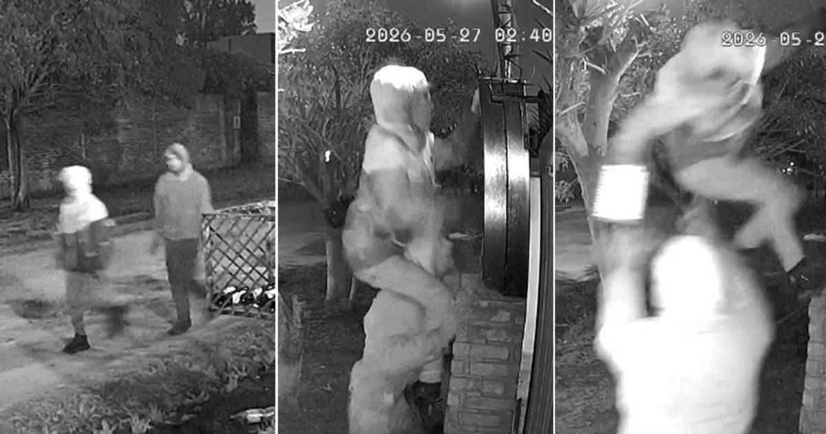 Ni escaleras ni herramientas: en La Plata ahora roban "a caballito" | El Dia