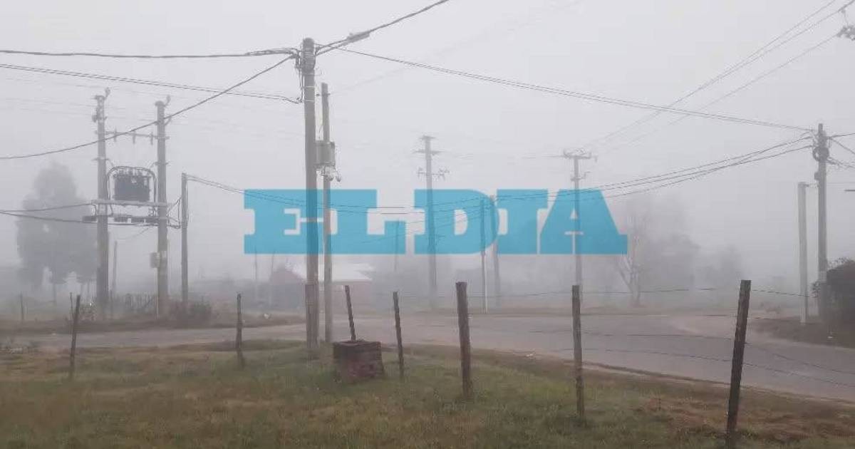 Humedad, neblinas y con alerta violeta vigente en La Plata: así estará el tiempo este jueves | El Dia