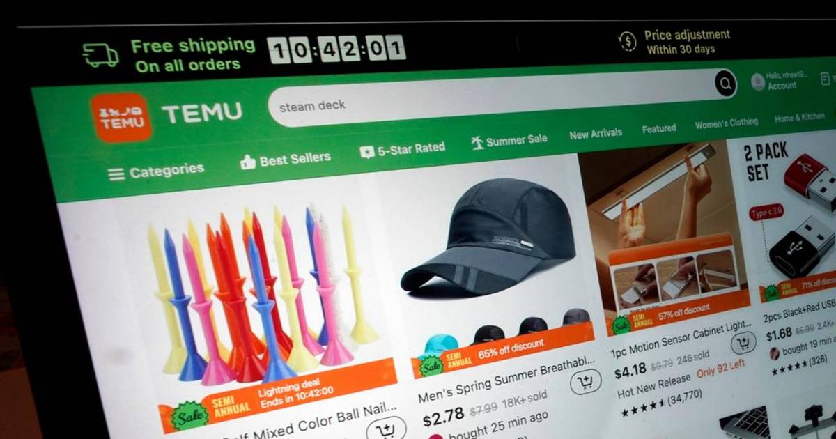 Temu en la mira: multan al gigante chino por productos riesgosos | El Dia