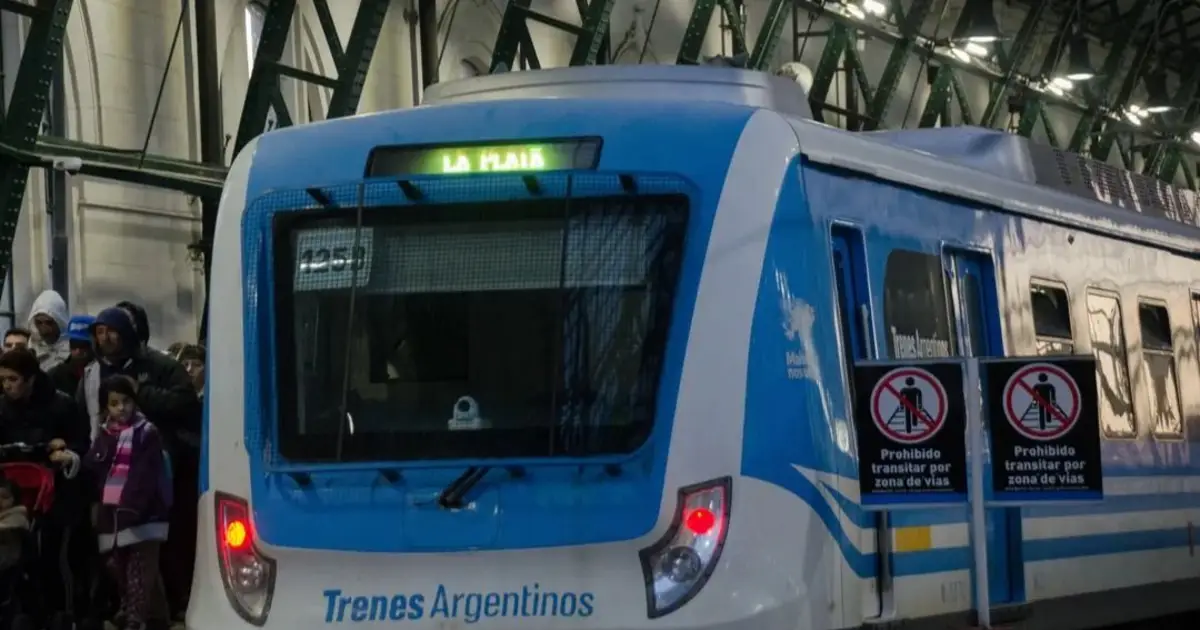 Tragedia en las vías del Tren Roca: funciona limitado tras un accidente fatal | El Dia