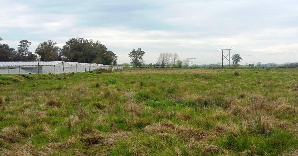 Violenta entradera en La Plata: golpearon a dos menores y crece la inseguridad en la zona rural | El Dia