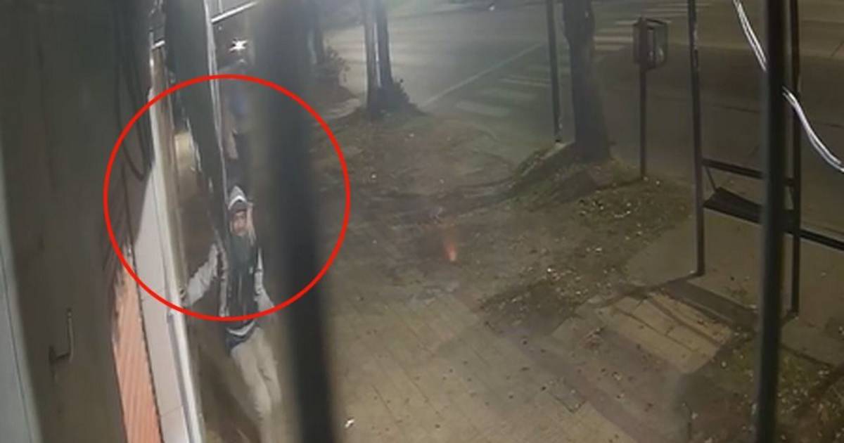 VIDEO. Los robos "a caballito" en La Plata, ahora para llevarse reflectores en comercios | El Dia