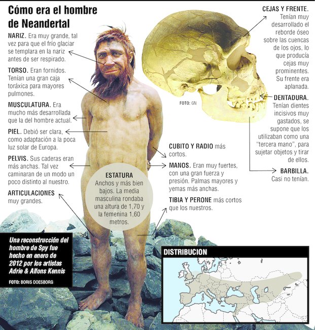 Comprueban que el hombre actual se cruzó con los Neandertales