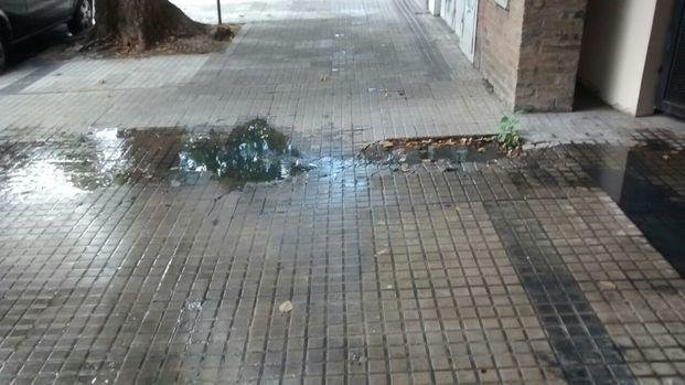 Malestar vecinal: cloacas tapadas en 14 y 64, sin agua en Tolosa y baja presión en Aeropuerto