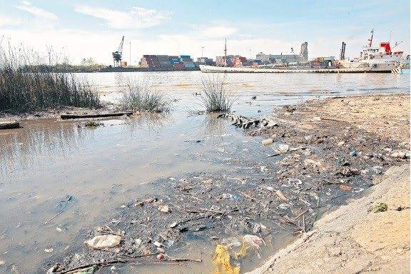 Sostienen que Argentina enfrenta "la peor crisis ambiental de la historia"