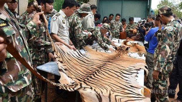 El mercado negro de animales mueve hasta 258 mil millones de dólares cada año