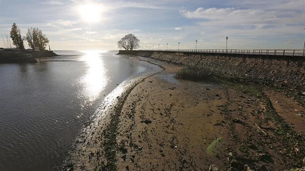 La inusual postal que dejó la bajante del Río de la Plata