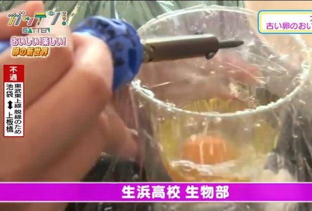 Alumnas japonesas “empollan” un huevo fuera del cascarón