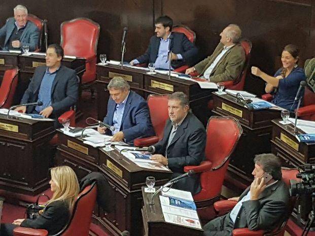 Senado: designaciones y una fusión peronista