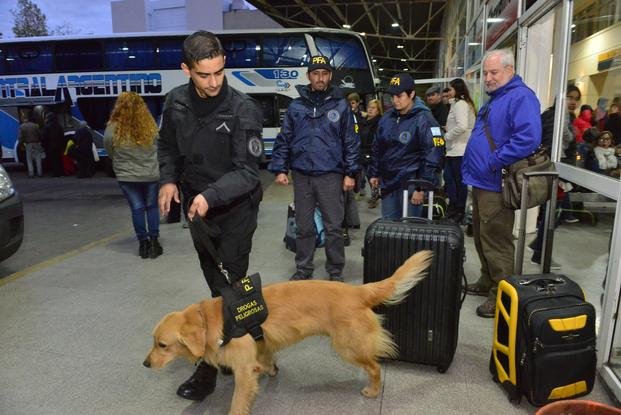 Otro procedimiento sorpresa con perros adiestrados en la Terminal