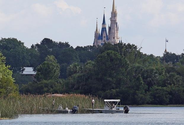 Desesperada búsqueda en Orlando: un caimán arrastró al agua a un nene de 2 años cerca de Disney