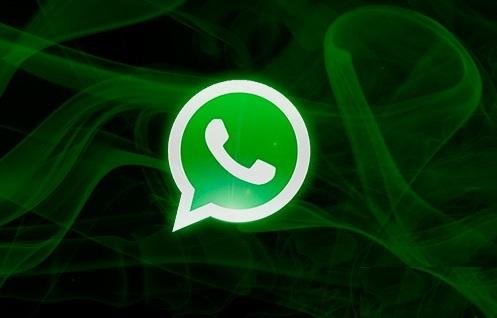 Conectate con EL DIA a través de WhatsApp