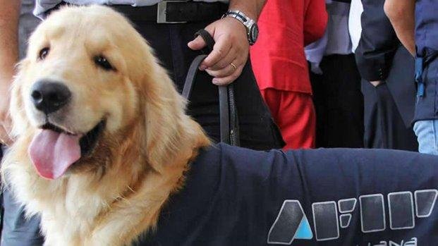 Jack, el perro que entró en acción en el Monasterio de General Rodríguez