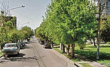 Sacó a pasear el perro y terminó en un hospital con un tiro en una pierna