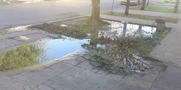 Bronca por una filtración que lleva dos años en 116, 73 y 74