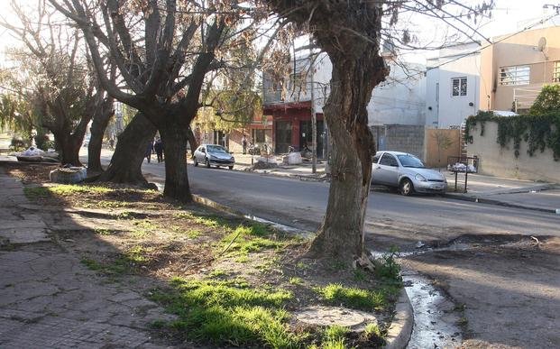 Trágico enfrentamiento vecinal en Villa Elvira: un muerto y dos heridos