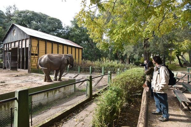 Demorará unos 4 años la completa reconversión del zoológico platense