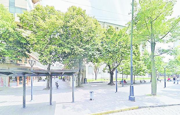 Saquean un local comercial a pocos metros de la Legislatura
