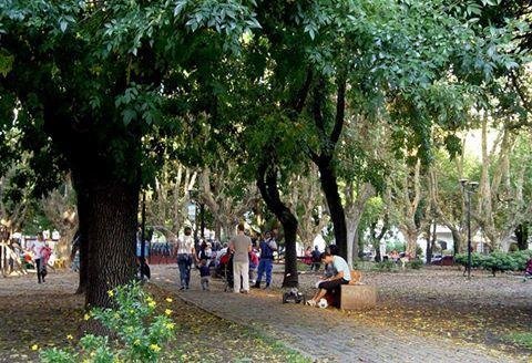 Cierran la plaza Conesa por poda correctiva