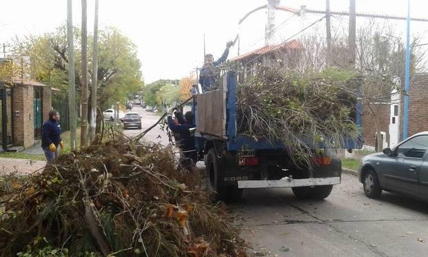 Recolección de ramas en La Colonia