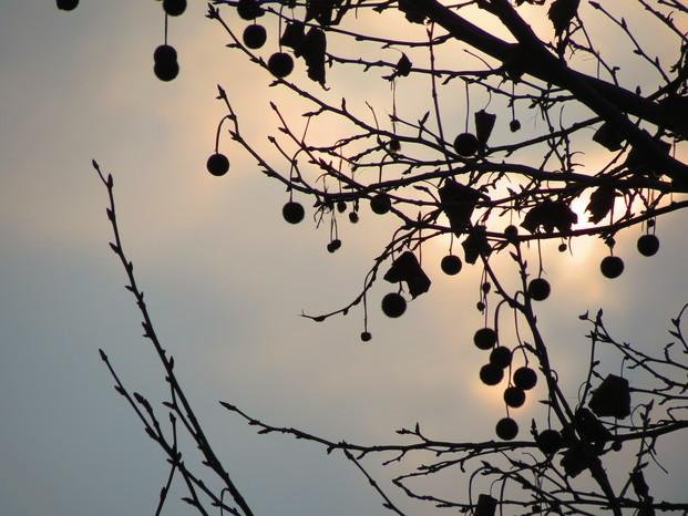 Jueves con algunas nubes