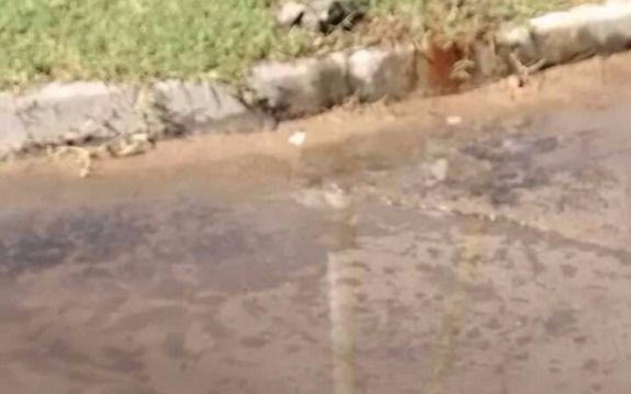 Aseguran que 1 y 81 bis "es un río"