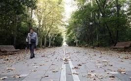 Viernes frío y húmedo, pero sin lluvias