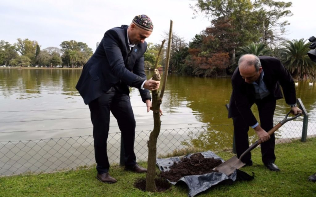 Día Mundial del Ambiente: Plantarán un millón de árboles en escuelas del país
