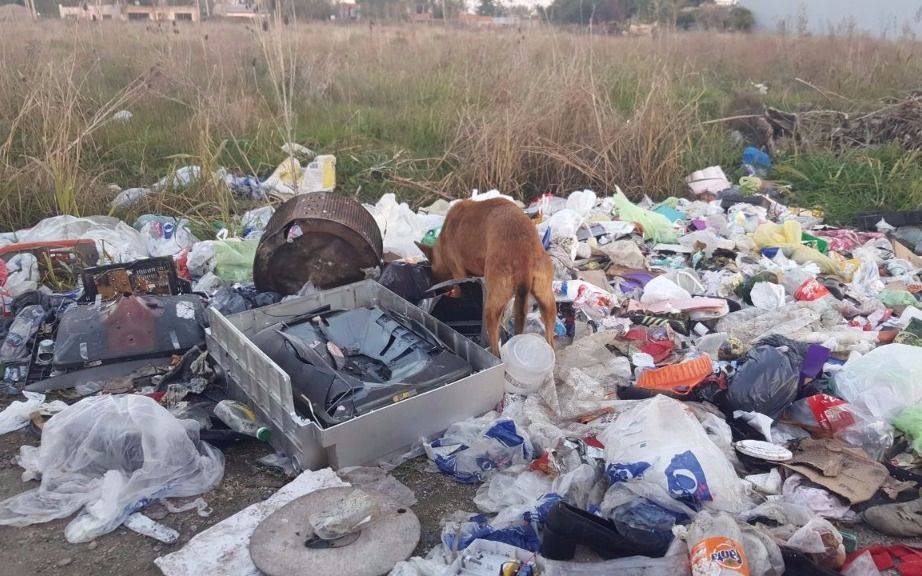 Reclamos por un extenso basural en Altos de San Lorenzo