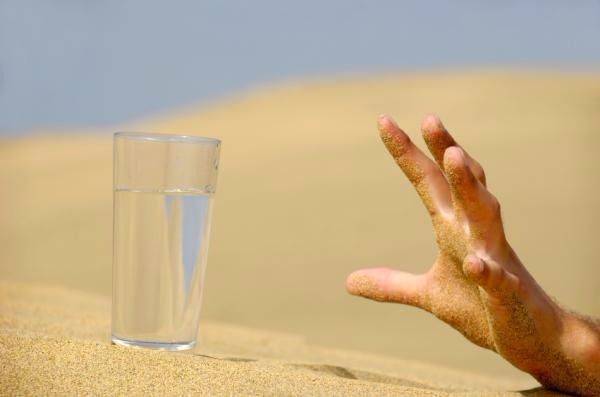 La sed, un alerta que nos da el cuerpo
