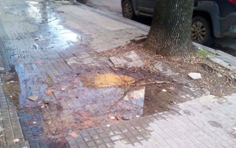 Reclamos por una extensa pérdida de agua en 11 y 43