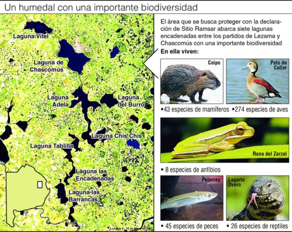 Buscan convertir a la laguna de Chascomús en un sitio protegido