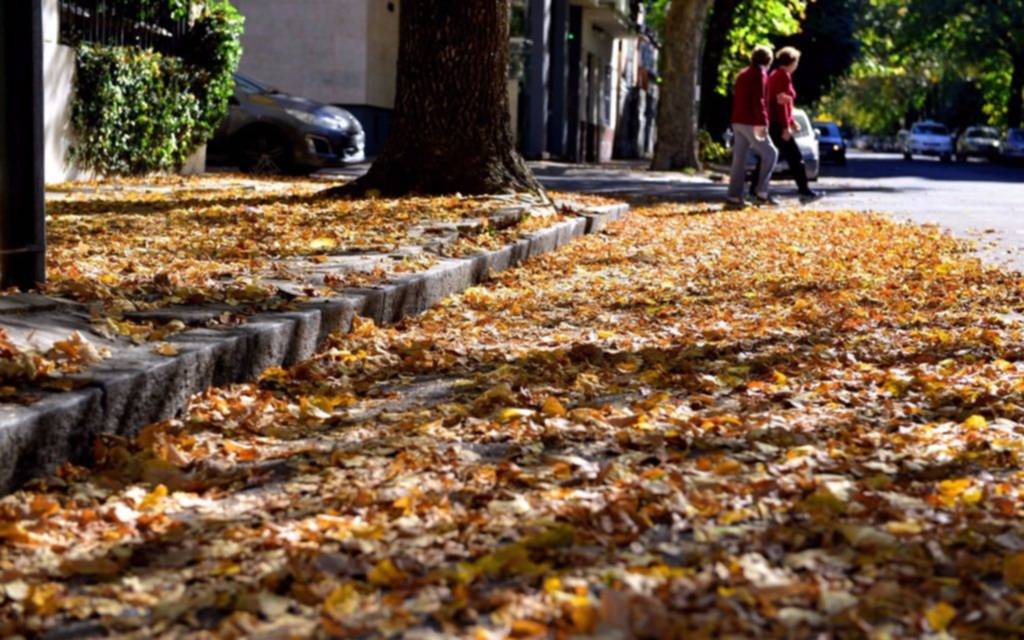 Cielo despejado y máxima de 20 grados para este sábado   