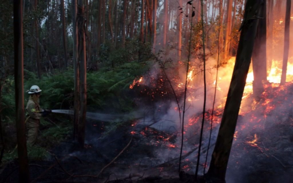  Ya son 57 los muertos por incendios forestales en Portugal