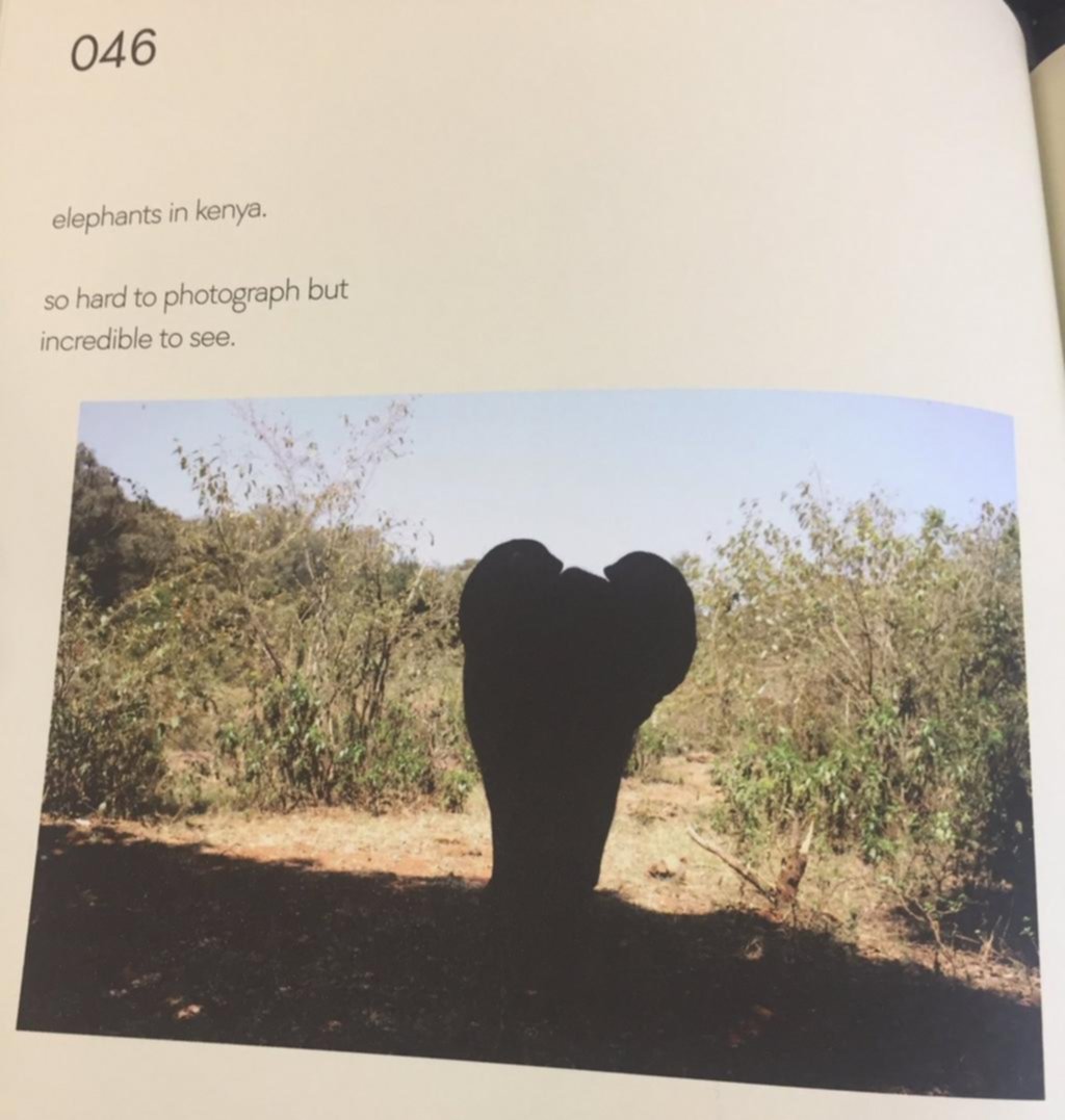 Destrozan al hijo de Beckham en las redes por su libro de fotos